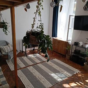 Appartement met een Slaapkamer